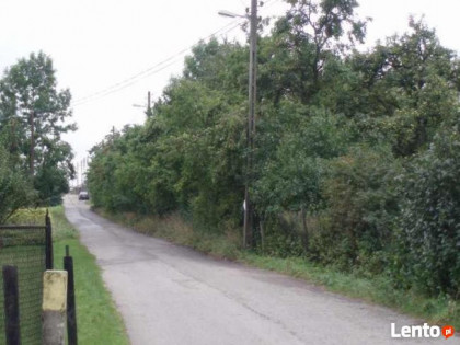 Działka Budowlana Rokitno Szlacheckie