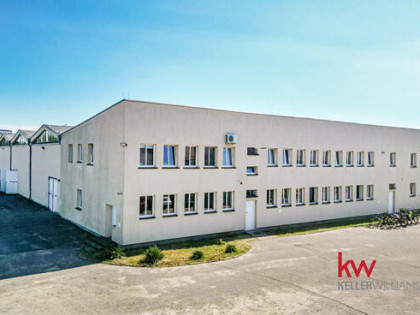 Lokal użytkowy Szamotuły, Świdlińska