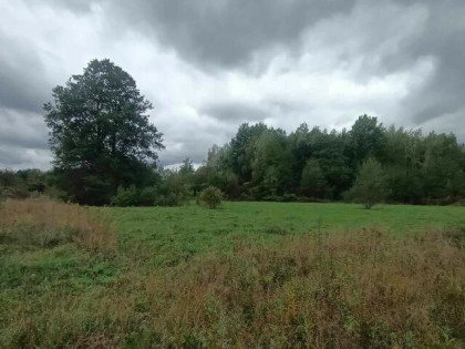 Działka 0,9ha z WZ pod Warszawą