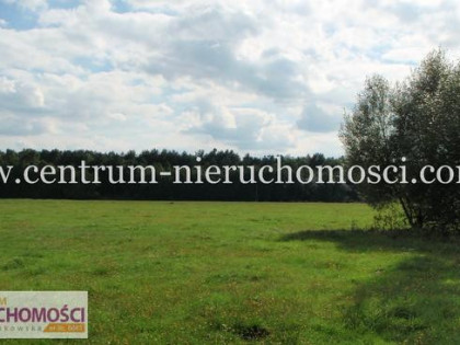 Barcząca, 4900m2, 46m x 107m