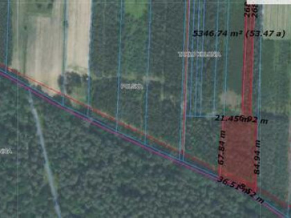 Tarło Kolonia budowlana nr 480 52 ar wydane wz