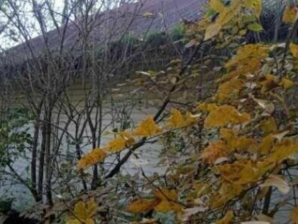 Sprzedaz dom z działką budowlaną 1,76 ha przy E7 w Miechów