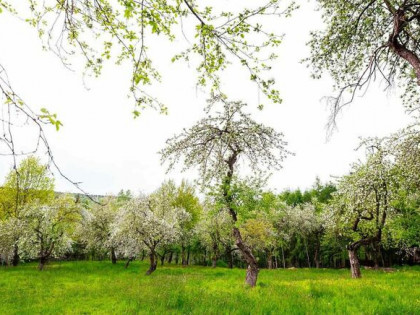 Okazja! Działka rolno-rekreacyjna