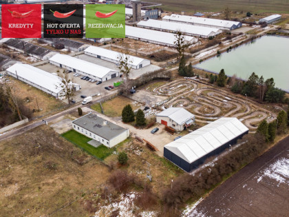 Lokal Strzebielino ul. Stanisława Witkacego