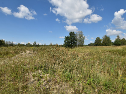 Działki rolne w Chmielniku