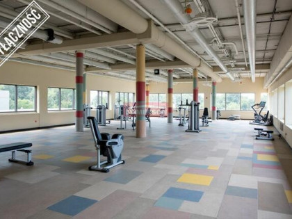 Budynek usługowo/biurowy, wynajem. Nowy