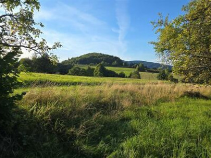 Działka rolna Skrzydlna gm. Dobra