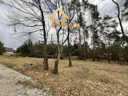 Na sprzedaż działki budowlane, Zaryń gm.Wierzbinek