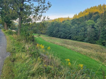 Działka o powierzchni 1,65 ha w miejscowości Lutynia
