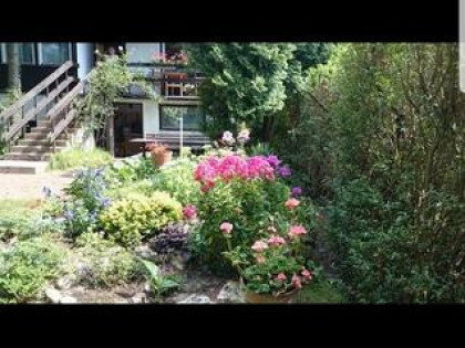 Działka rekreacyjna