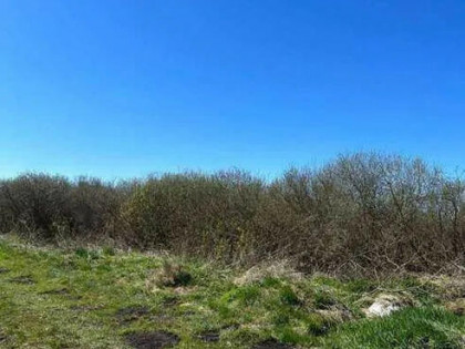 Działka siedliskowa Połczyno gm. Puck,