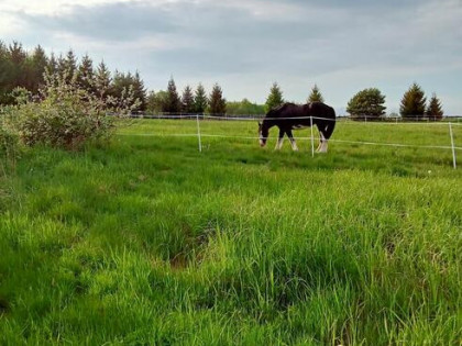 Sprzedam- dzialke 30 ar-SUDETY