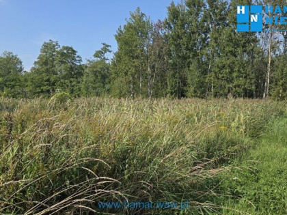 Działka w prężnie rozwijającej się okolicy