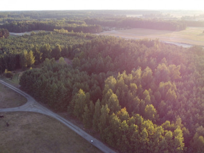 Dom na dużej działce w Świesielicach gm. Ciepielów