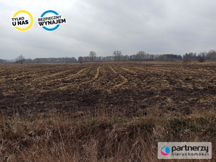 Działka Roszkowo ul. Wierzbowa