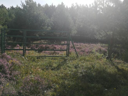 Sprzedam działkę rekreacyjną