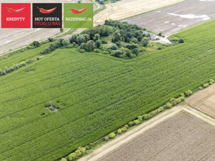 Działka Wielkie Walichnowy ul.  