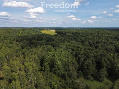 Działki leśne 19 ar – Rakszawa, Potok