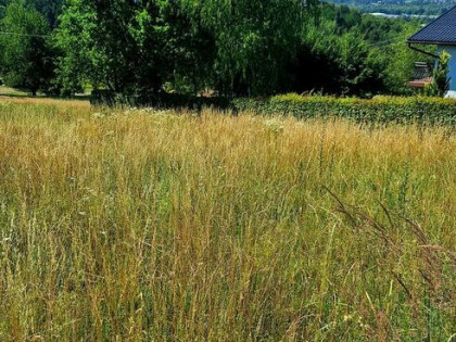 DZIAŁKA WIELOGŁOWY 9 AR IDEALNA POD BUDOWĘ DOMU