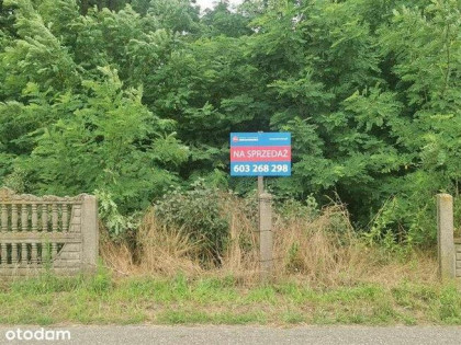 Sprzedam działkę rolną - 48 500 m2