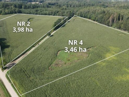 Działki rolne Klejdyty / 7,5 ha / IV klasa