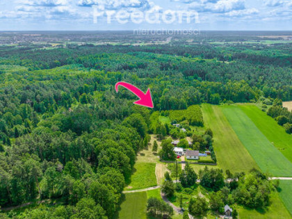 Działka siedliskowa w leśnej okolicy