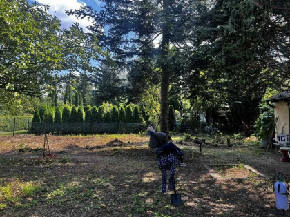 Działka ROD Czerniaków Mokotów