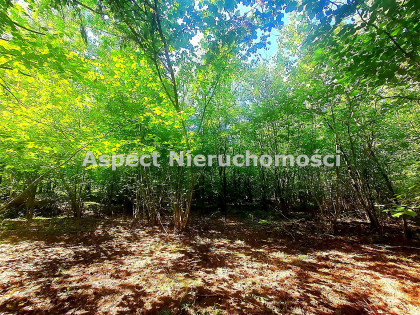 Działka ŁAPY Łupianka Stara