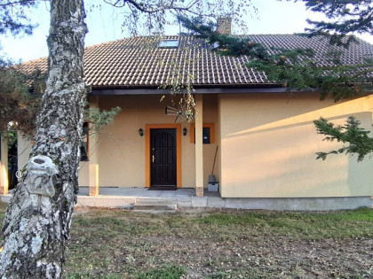 Ciekawy,z piwnicami,do wykończenia