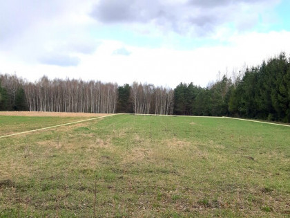 2 działki, przy lesie, blisko Hańczy.