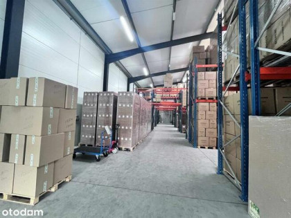 Nowoczesna samodzielna hala z parkingiem
