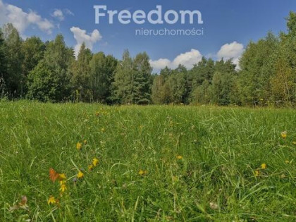 Działka siedliskowa 45 001 m² — stawy i las