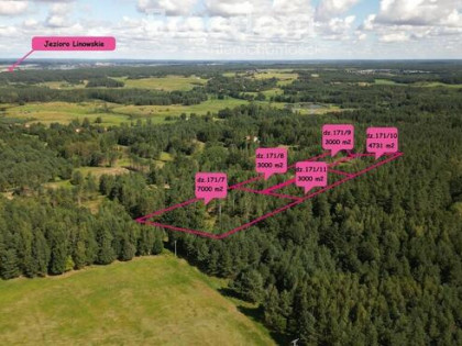 Atrakcyjny kompleks działek w Kabornie gm. Purda