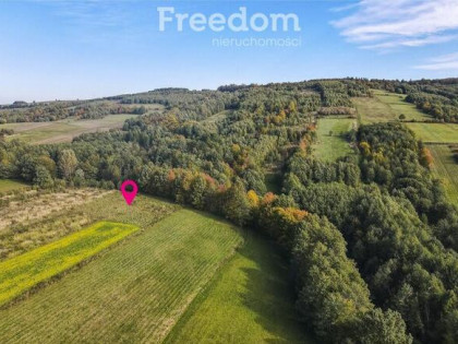 Działka 81 ar z WZ w Grabówce k. Brzozowa