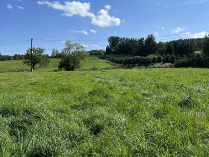 Cena do ustalenia! Sprzedam piękna działkę ,Brzegi Dolne