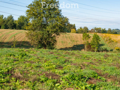 Działka rolno-budowlana w Brzeźnicy