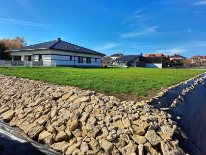 Nieruchomość w Widaczu wraz z lokatorami, pilna sprzedaż!