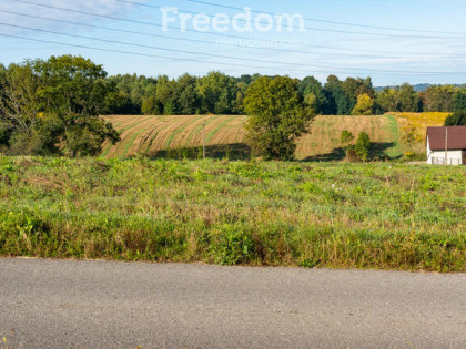 Działka rolno-budowlana w Brzeźnicy