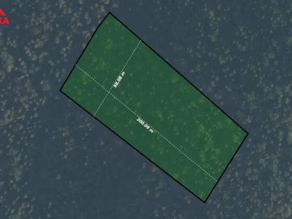 Działka leśna Szczawa