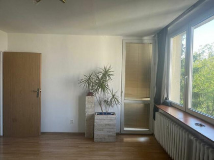 Słoneczne , rozkładowe, SADYBA