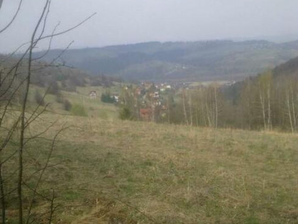 Sprzedam dzialke lesno -rekracjna