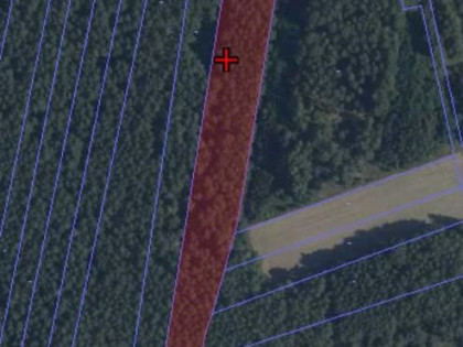 Działka leśna Podnieśno gm. Suchożebry