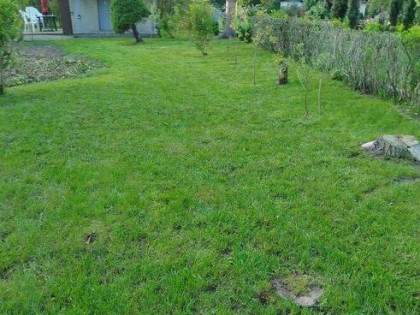 Sprzedam działkę ogrodową