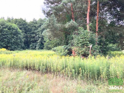 Działka Silno gm. Obrowo