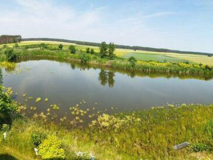 Działka z warunkami zabudowy (WZ), obok jezioro, lasy, winnica