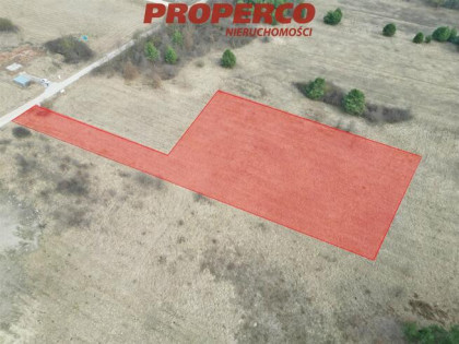 Działka Rykoszyn gm. Piekoszów, Urzędnicza