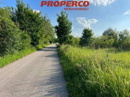 Działka Chęciny Siedlce