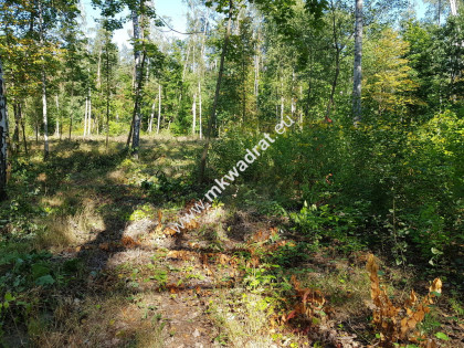 ⭐⭐⭐⭐ SuperDziałka dobra cena przy lesie Młochowski