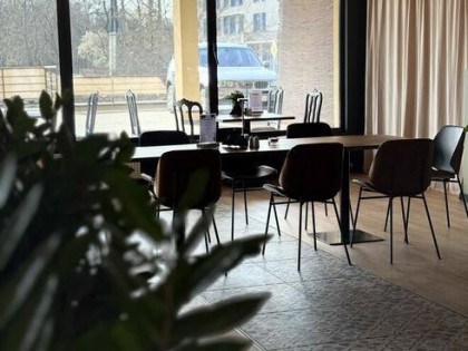 Wynajmę lokal 254m2 rózne działalności parter rampa dobra lo