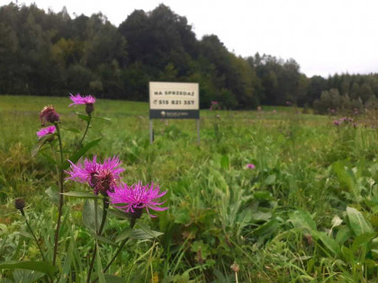 Atrakcyjna działka w gminie Solina